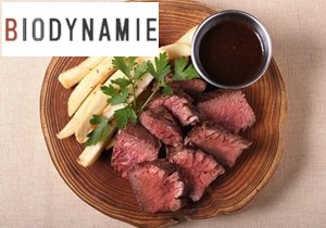 サンプル