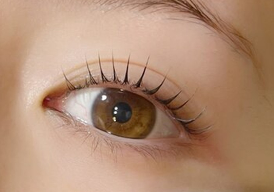 Liliy JR茨木本店